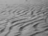 img_0103