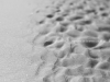 img_0118