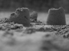 img_0123