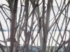 03008_IMG_0160