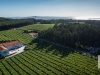 Bodega Agro de Bazán